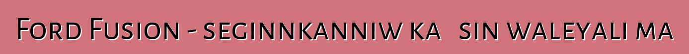Ford Fusion - seginnkanniw ka ɲɛsin waleyali ma