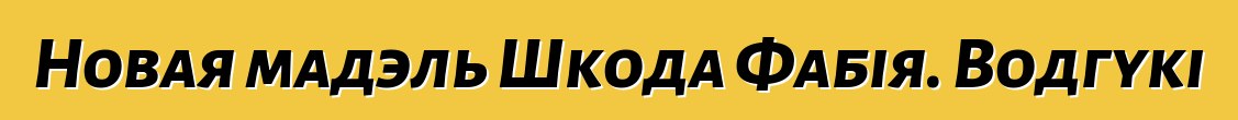 Новая мадэль Шкода Фабія. Водгукі