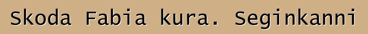 Skoda Fabia kura. Seginkanni