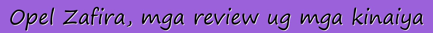 Opel Zafira, mga review ug mga kinaiya