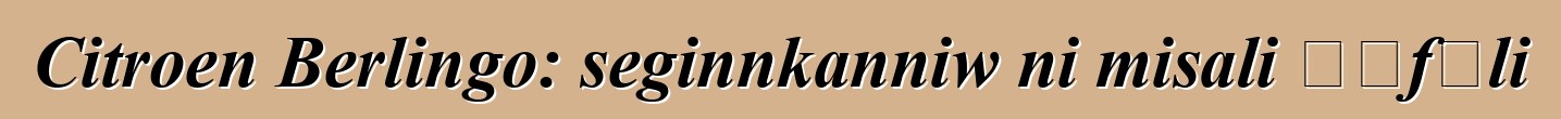Citroen Berlingo: seginnkanniw ni misali ɲɛfɔli