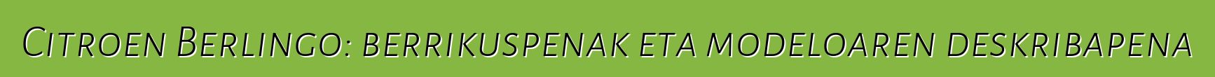 Citroen Berlingo: berrikuspenak eta modeloaren deskribapena