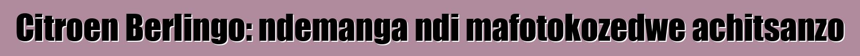 Citroen Berlingo: ndemanga ndi mafotokozedwe achitsanzo