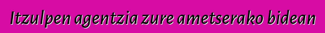 Itzulpen agentzia zure ametserako bidean