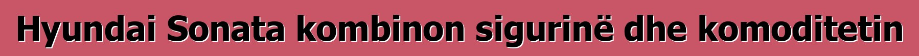 Hyundai Sonata kombinon sigurinë dhe komoditetin