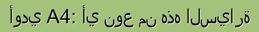 أودي A4: أي نوع من هذه السيارة
