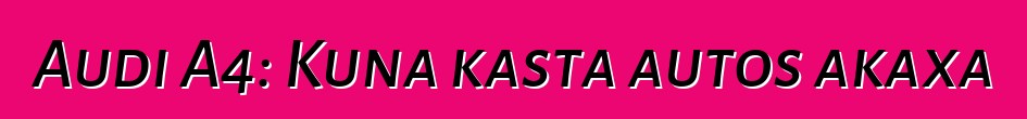 Audi A4: Kuna kasta autos akaxa