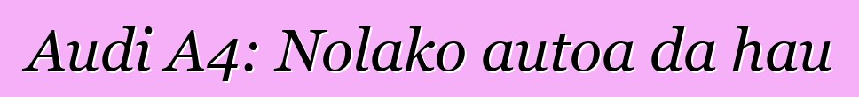 Audi A4: Nolako autoa da hau