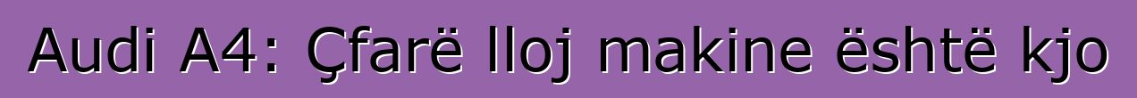 Audi A4: Çfarë lloj makine është kjo