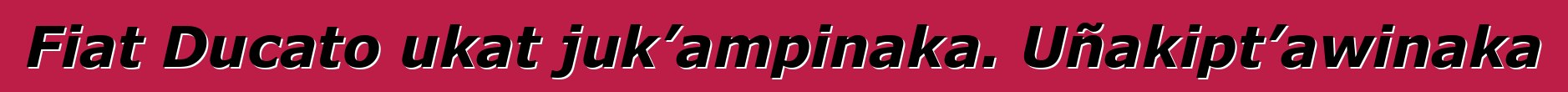 Fiat Ducato ukat juk’ampinaka. Uñakipt’awinaka
