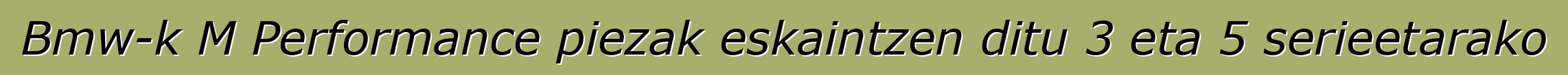 Bmw-k M Performance piezak eskaintzen ditu 3 eta 5 serieetarako