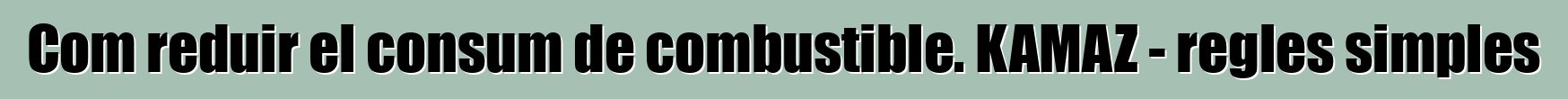Com reduir el consum de combustible. KAMAZ - regles simples