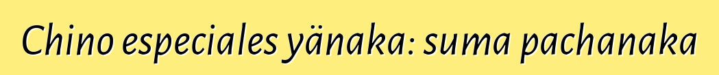 Chino especiales yänaka: suma pachanaka
