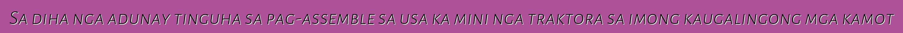 Sa diha nga adunay tinguha sa pag-assemble sa usa ka mini nga traktora sa imong kaugalingong mga kamot