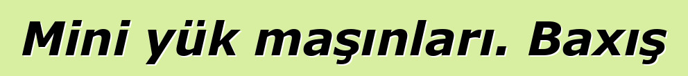 Mini yük maşınları. Baxış