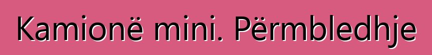 Kamionë mini. Përmbledhje