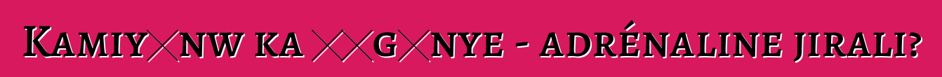 Kamiyɔnw ka ɲɔgɔnye - adrénaline jirali?