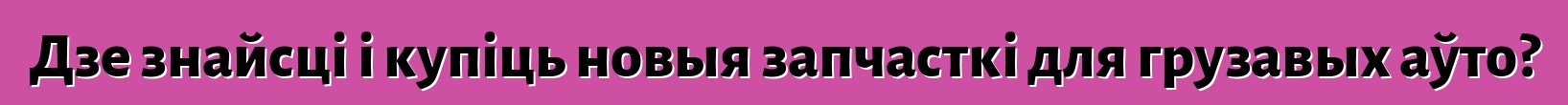 Дзе знайсці і купіць новыя запчасткі для грузавых аўто?
