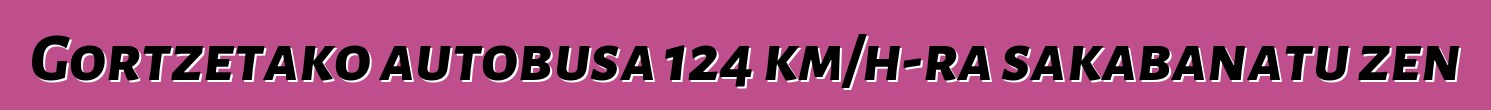 Gortzetako autobusa 124 km/h-ra sakabanatu zen