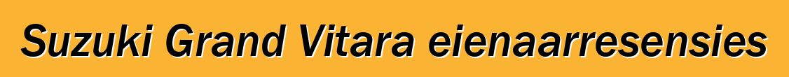 Suzuki Grand Vitara eienaarresensies