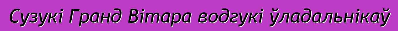 Сузукі Гранд Вітара водгукі ўладальнікаў