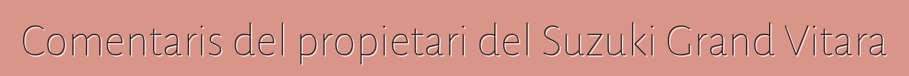 Comentaris del propietari del Suzuki Grand Vitara