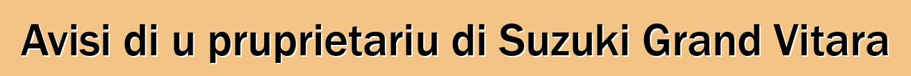 Avisi di u pruprietariu di Suzuki Grand Vitara
