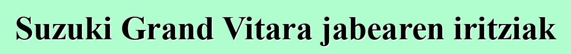Suzuki Grand Vitara jabearen iritziak