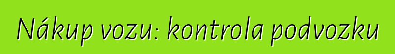Nákup vozu: kontrola podvozku