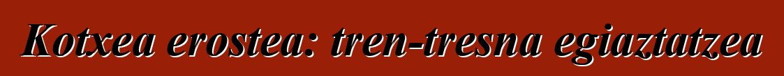 Kotxea erostea: tren-tresna egiaztatzea