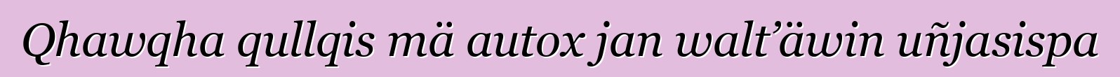 Qhawqha qullqis mä autox jan walt’äwin uñjasispa