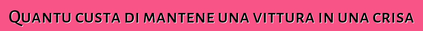 Quantu custa di mantene una vittura in una crisa