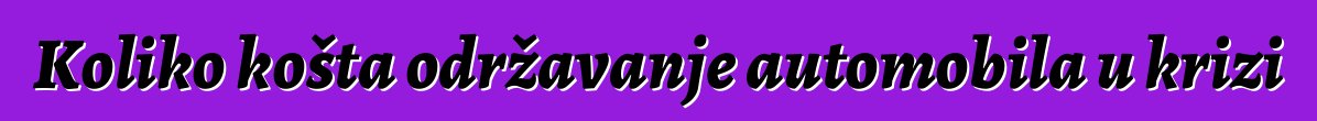 Koliko košta održavanje automobila u krizi