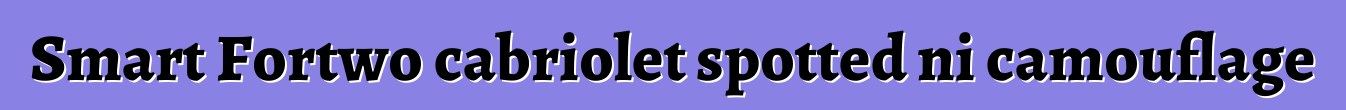 Smart Fortwo cabriolet spotted ni camouflage