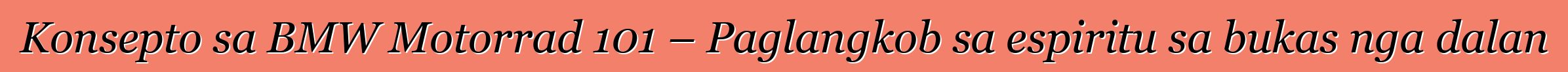 Konsepto sa BMW Motorrad 101 – Paglangkob sa espiritu sa bukas nga dalan