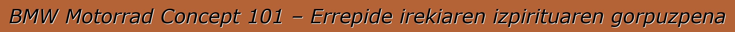 BMW Motorrad Concept 101 – Errepide irekiaren izpirituaren gorpuzpena