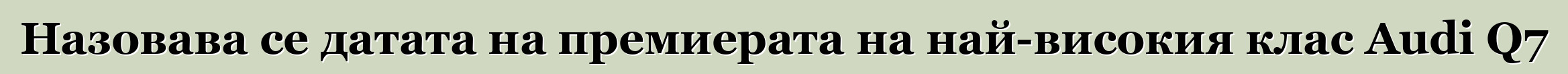 Назовава се датата на премиерата на най-високия клас Audi Q7