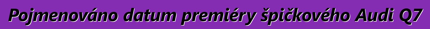 Pojmenováno datum premiéry špičkového Audi Q7