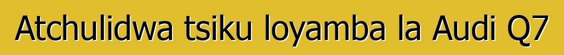 Atchulidwa tsiku loyamba la Audi Q7