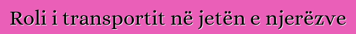 Roli i transportit në jetën e njerëzve