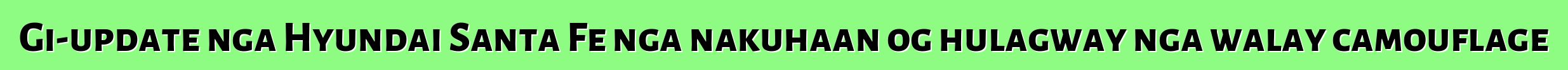 Gi-update nga Hyundai Santa Fe nga nakuhaan og hulagway nga walay camouflage