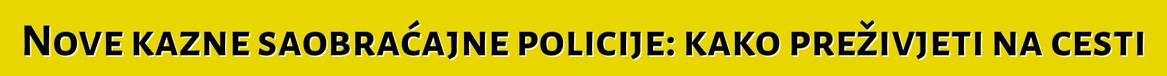 Nove kazne saobraćajne policije: kako preživjeti na cesti