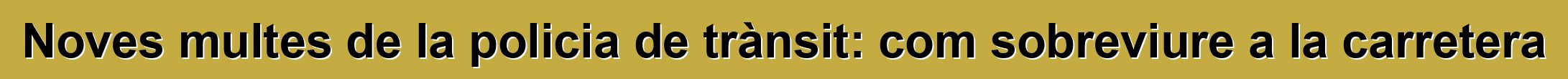 Noves multes de la policia de trànsit: com sobreviure a la carretera