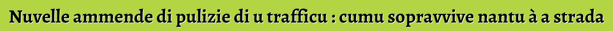 Nuvelle ammende di pulizie di u trafficu : cumu sopravvive nantu à a strada