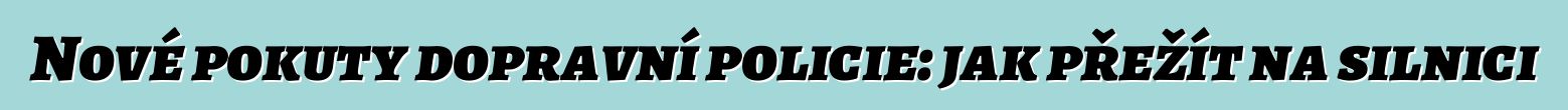 Nové pokuty dopravní policie: jak přežít na silnici