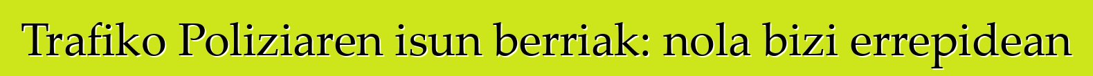 Trafiko Poliziaren isun berriak: nola bizi errepidean