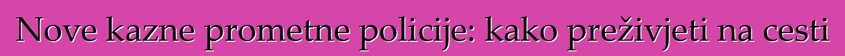 Nove kazne prometne policije: kako preživjeti na cesti