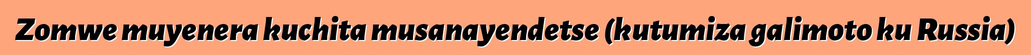 Zomwe muyenera kuchita musanayendetse (kutumiza galimoto ku Russia)