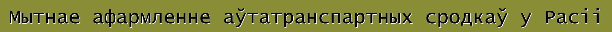 Мытнае афармленне аўтатранспартных сродкаў у Расіі