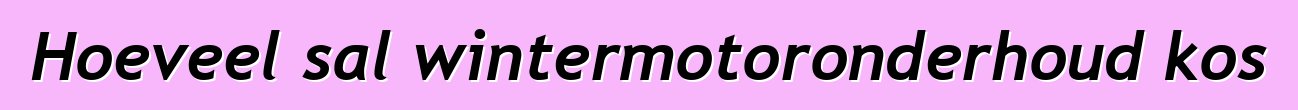 Hoeveel sal wintermotoronderhoud kos